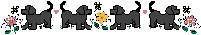 Image0025