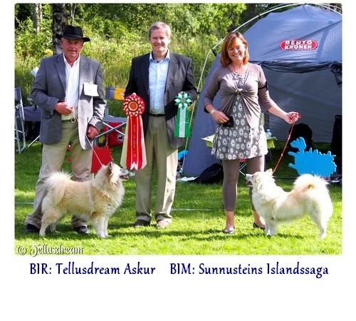 bir_bim2015