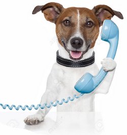 hundtelefon3